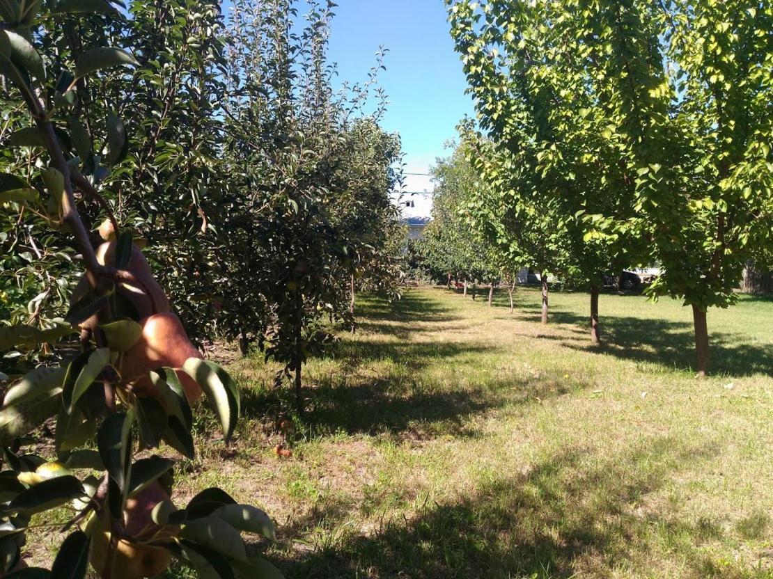 Edelweiss Guesthouse, Glamping And Camping Suhaia Exteriör bild